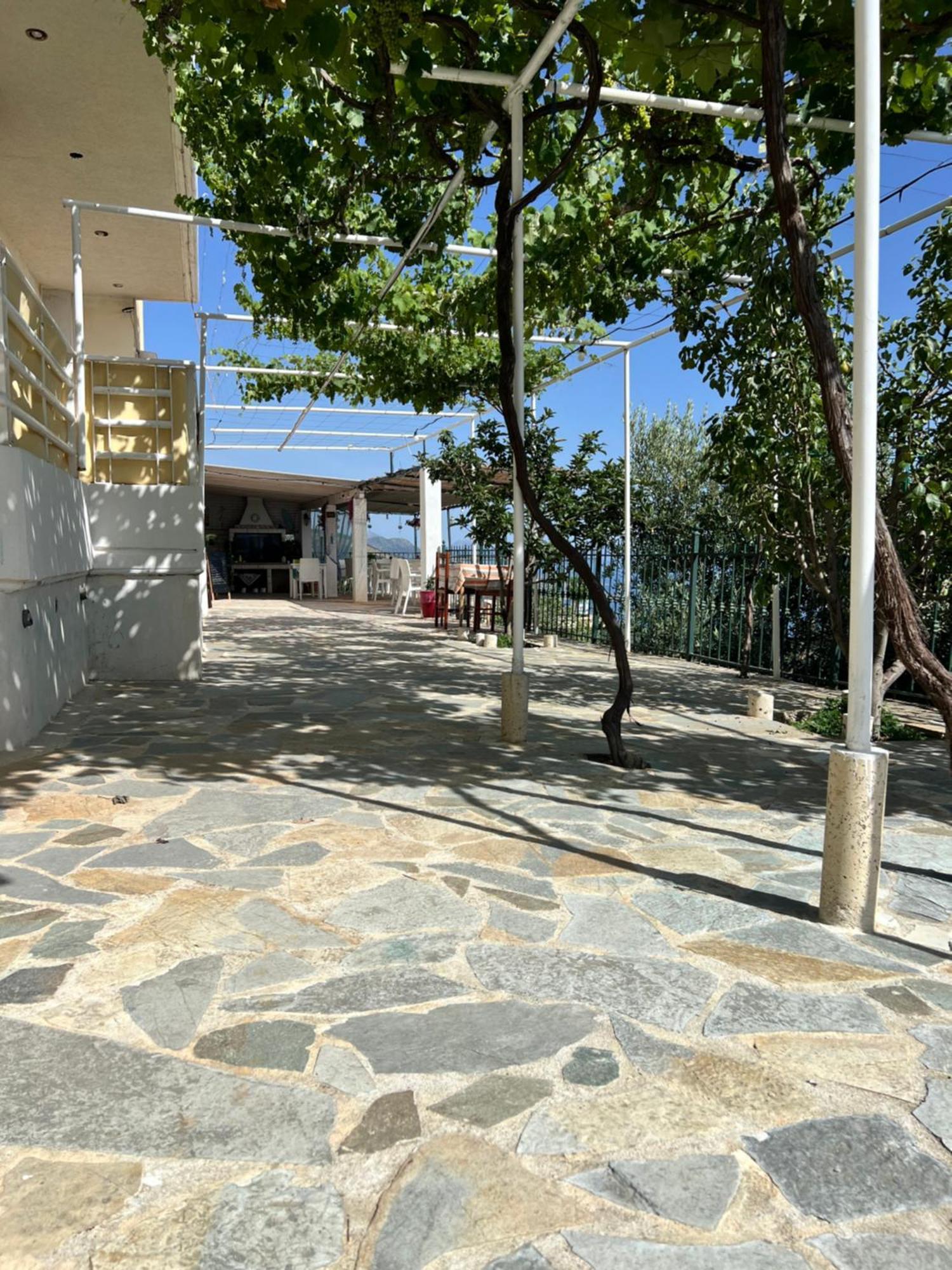 Villa Filip Vuno Ngoại thất bức ảnh