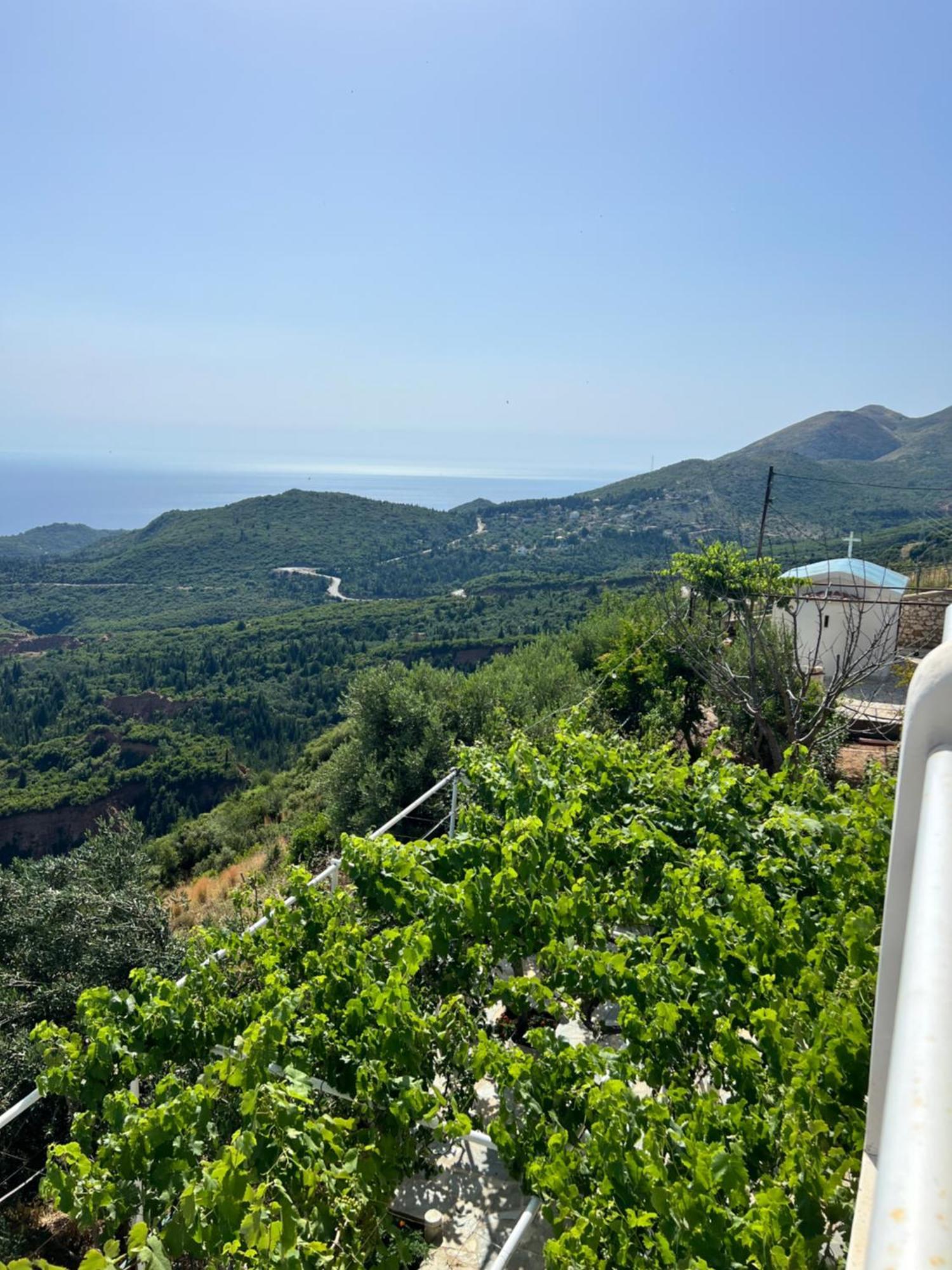 Villa Filip Vuno Ngoại thất bức ảnh